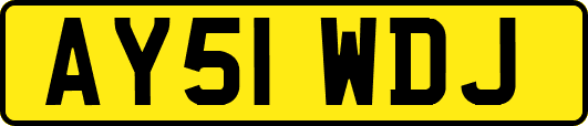 AY51WDJ