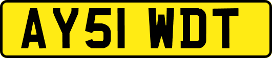 AY51WDT