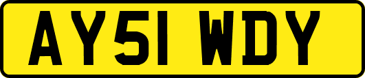 AY51WDY