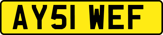 AY51WEF