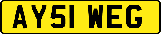 AY51WEG