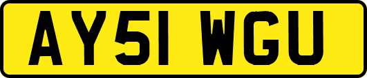 AY51WGU