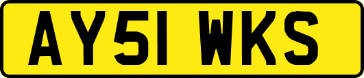 AY51WKS