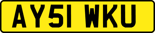 AY51WKU