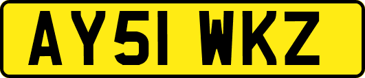 AY51WKZ