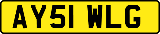 AY51WLG