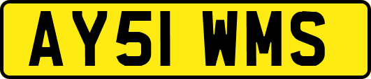 AY51WMS