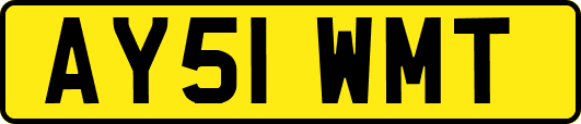 AY51WMT