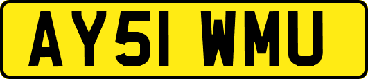 AY51WMU