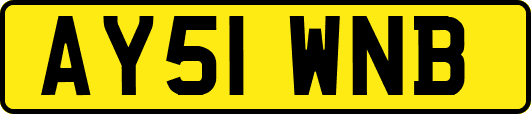 AY51WNB