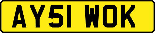 AY51WOK