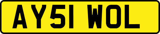 AY51WOL