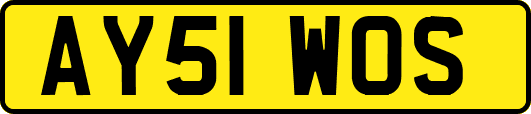 AY51WOS