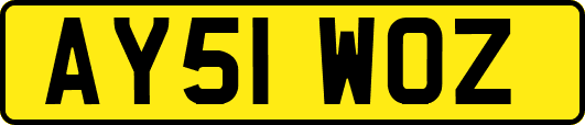 AY51WOZ