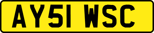AY51WSC