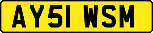 AY51WSM