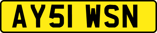 AY51WSN