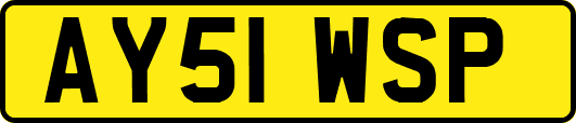 AY51WSP