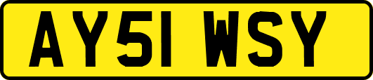 AY51WSY