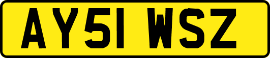 AY51WSZ