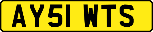 AY51WTS