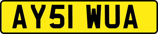 AY51WUA