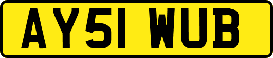 AY51WUB