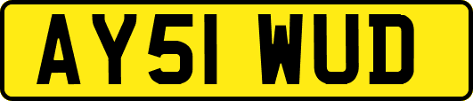 AY51WUD