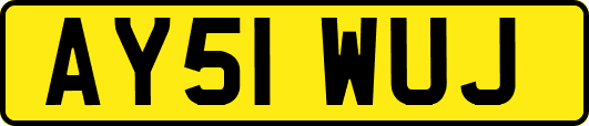 AY51WUJ