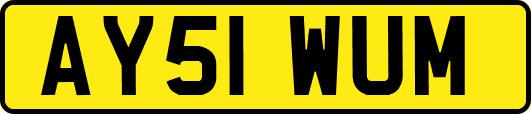 AY51WUM