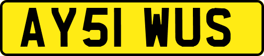 AY51WUS