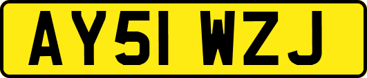 AY51WZJ