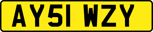 AY51WZY