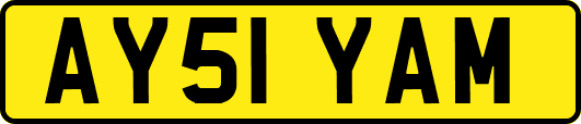 AY51YAM