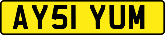 AY51YUM
