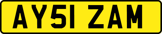 AY51ZAM