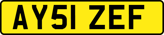 AY51ZEF