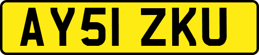 AY51ZKU