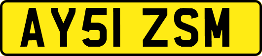 AY51ZSM