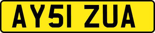 AY51ZUA