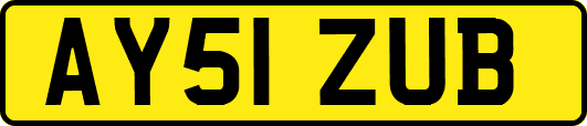 AY51ZUB