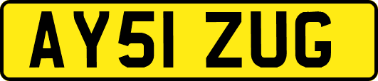 AY51ZUG