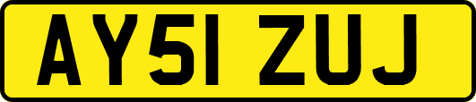 AY51ZUJ