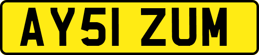 AY51ZUM