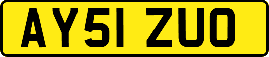 AY51ZUO