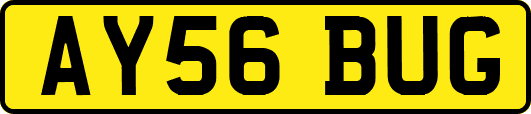 AY56BUG