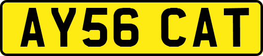 AY56CAT