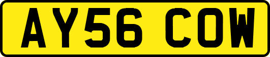 AY56COW