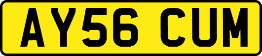 AY56CUM