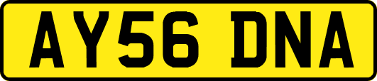 AY56DNA